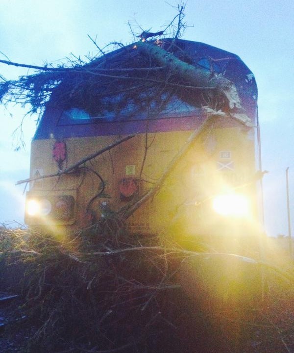 A train struck a tree between Huntly and Elgin. Pictures: Trees blocked an Aberdeen to Inverness train earlier this year