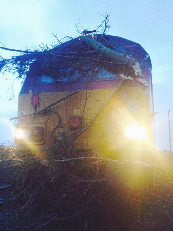 A train struck a tree between Huntly and Elgin. Pictures: Trees blocked an Aberdeen to Inverness train earlier this year