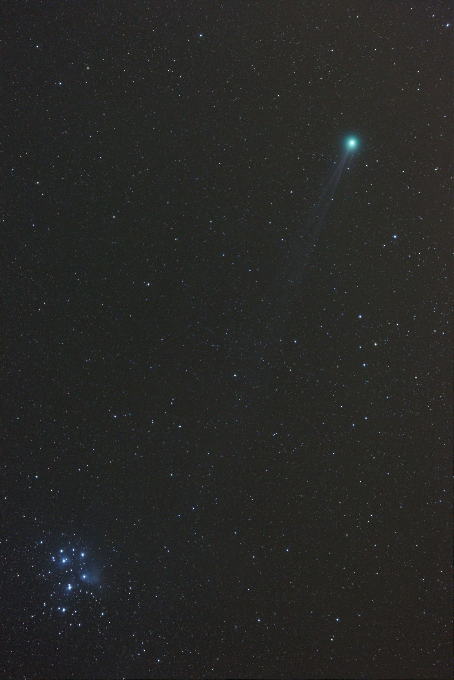 Comet Lovejoy, spotted just south of Stonehaven by Neal Weston of the Aberdeen Astronomical Society.