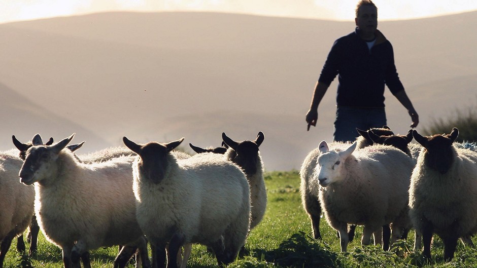 The scheme is designed to support sheep farmers in remote areas