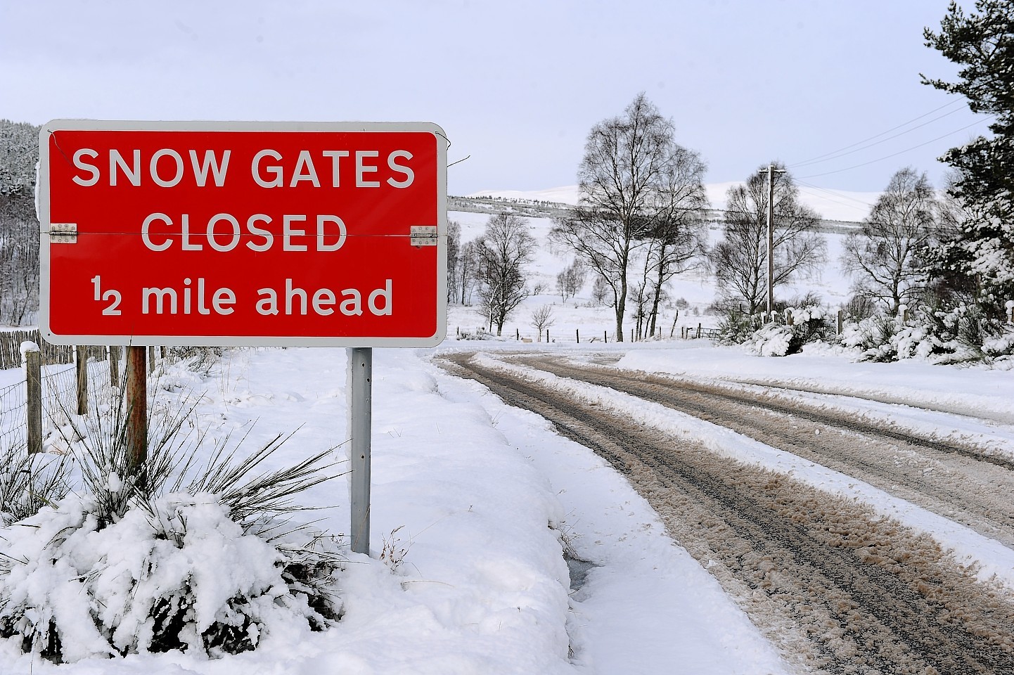 Roads closed as snow falls