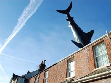 The 25ft shark erected on the roof