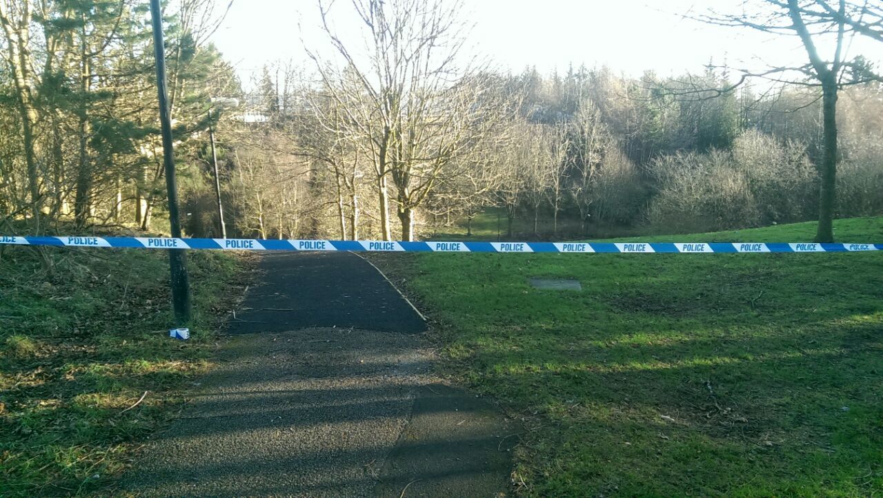 Police have taped off the woodland area around the scene