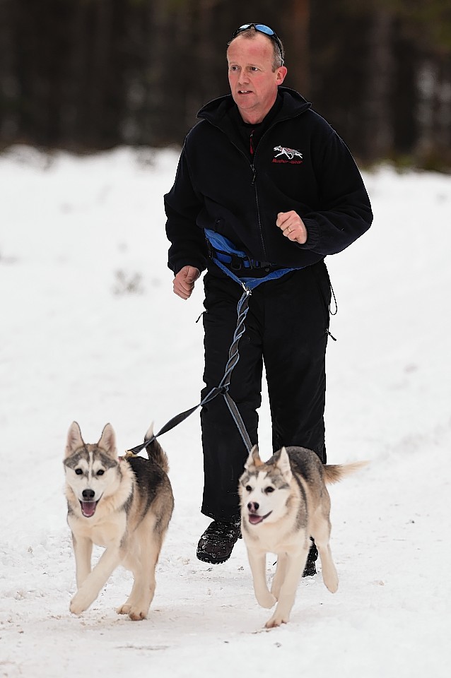 aviemore-sled-dog-rally-5.jpg