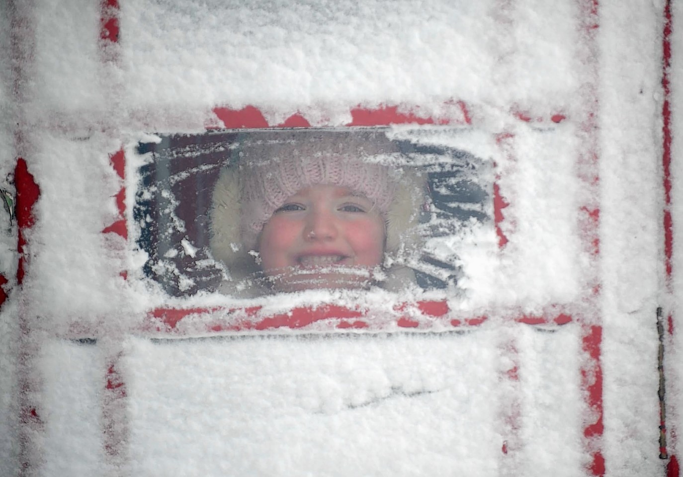 A cheeky face enjoys the snow