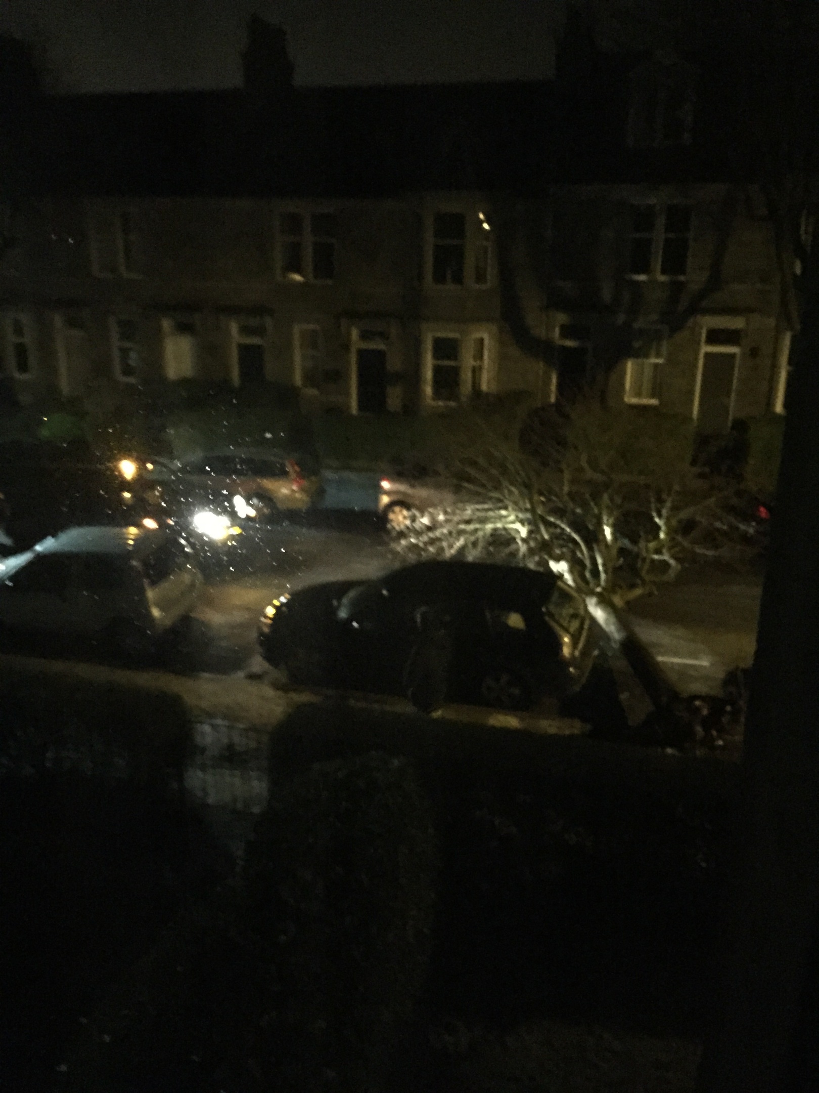 The tree after it fell onto a car parked nearby