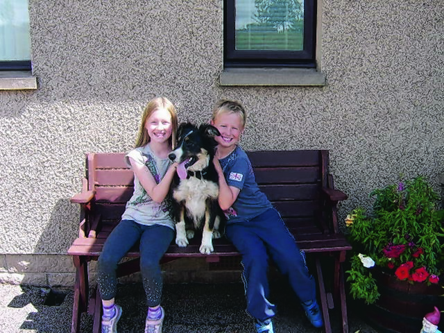 Caitlin and Callum Henderson with their grandparents’ seven month old collie, Dusty,  from Laurencekirk.