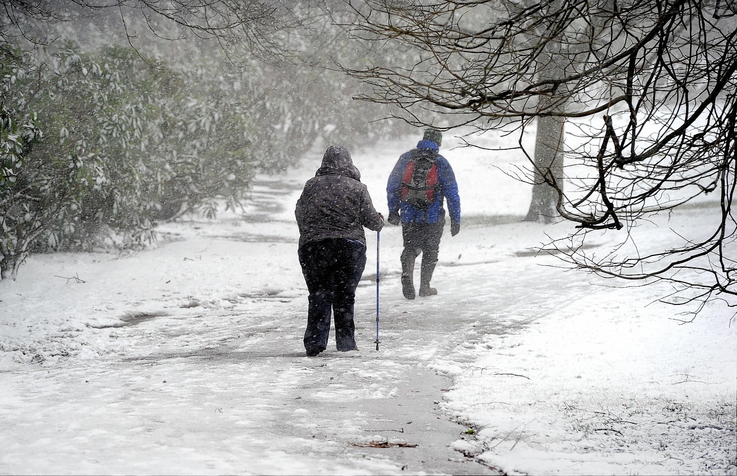 Aberdeen's Hazlehead Park today