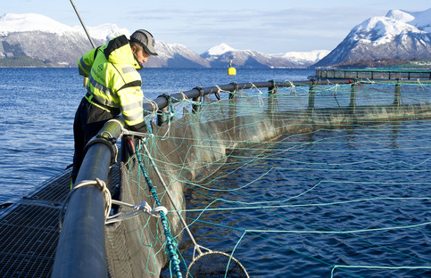 A salmon farmer at one of Marine Harvest's sites.