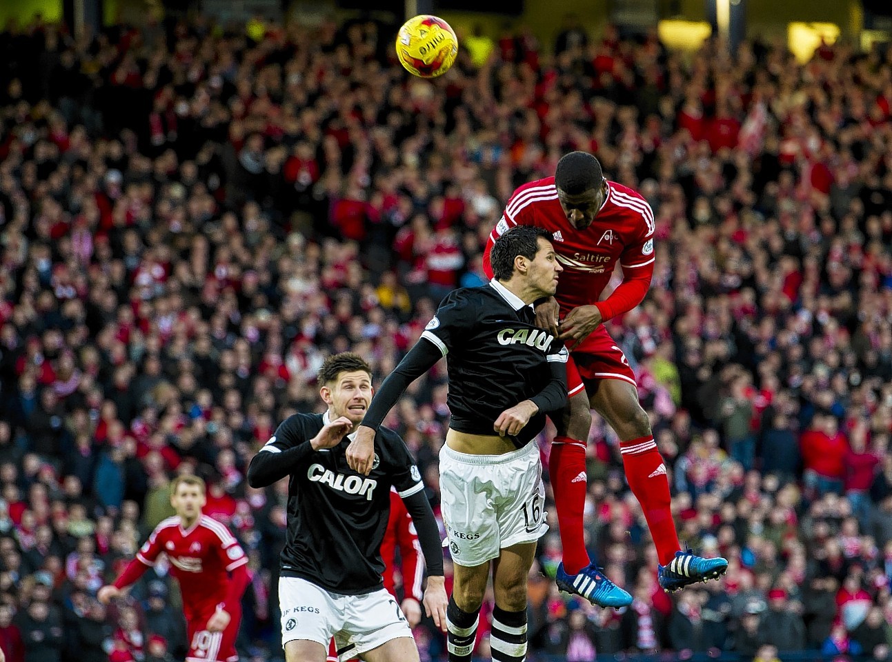 Don Daniels netted on his Aberdeen debut  in the League Cup semi final