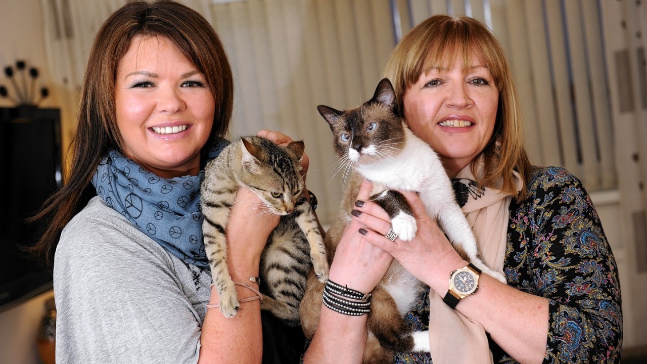 Helen Smith and Lynne Dickson were delighted to arrive home safely after driving the cats across five countries