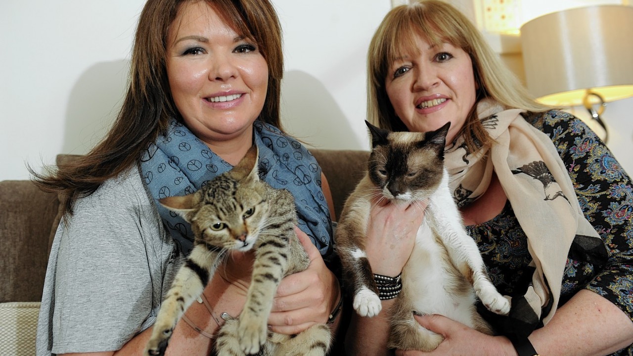 Helen Smith and Lynne Dickson were delighted to arrive home safely after driving the cats across five countries