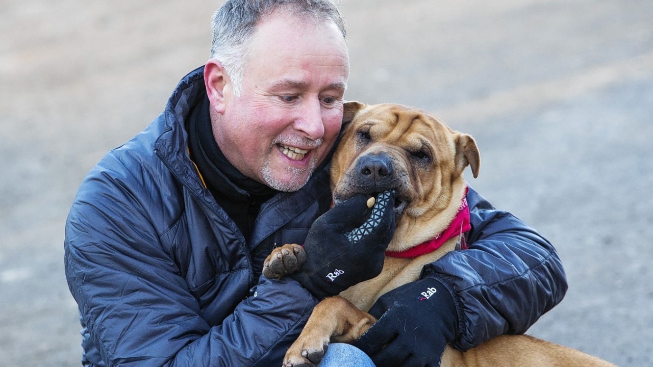 Kai was abandoned in Ayr last month but has now been re-homed