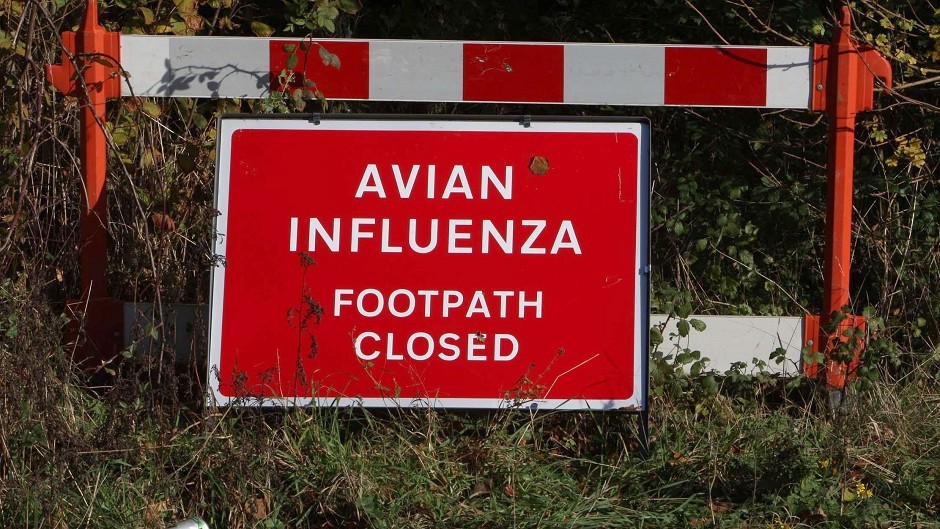 In certain areas of the UK, areas have been closed off due to bird flu fears.