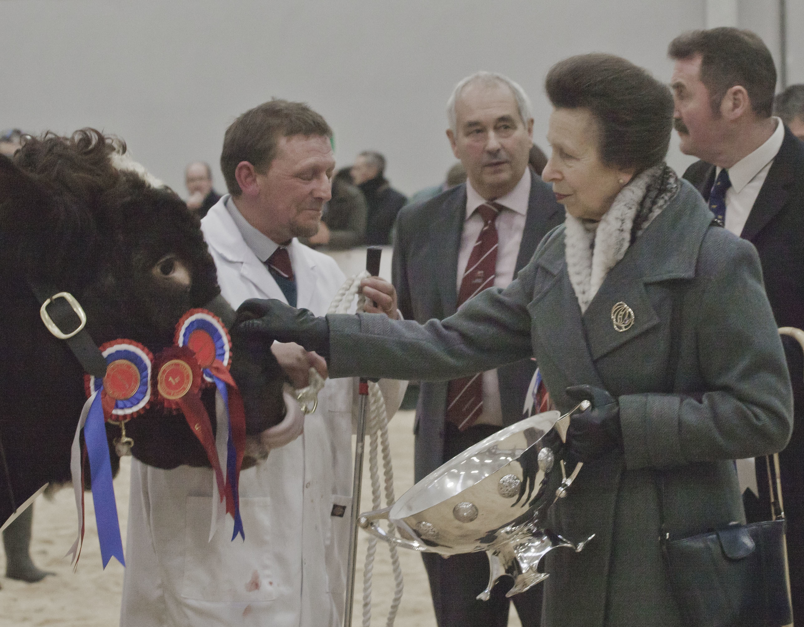 Princess Anne views the overall Shorthorn champion shown by Mike Clark.