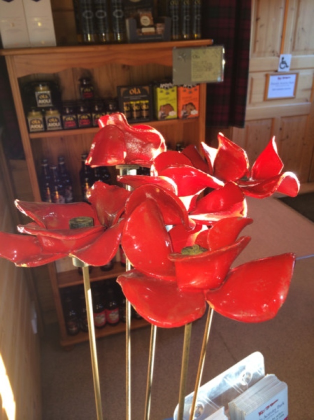 The poppies which have arrived in Aberdeenshire