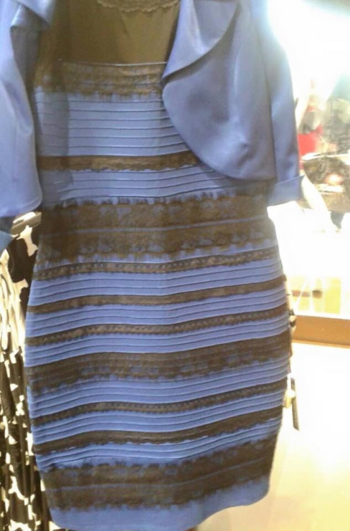 #TheDress - Black and blue? White and gold? What do you see?
