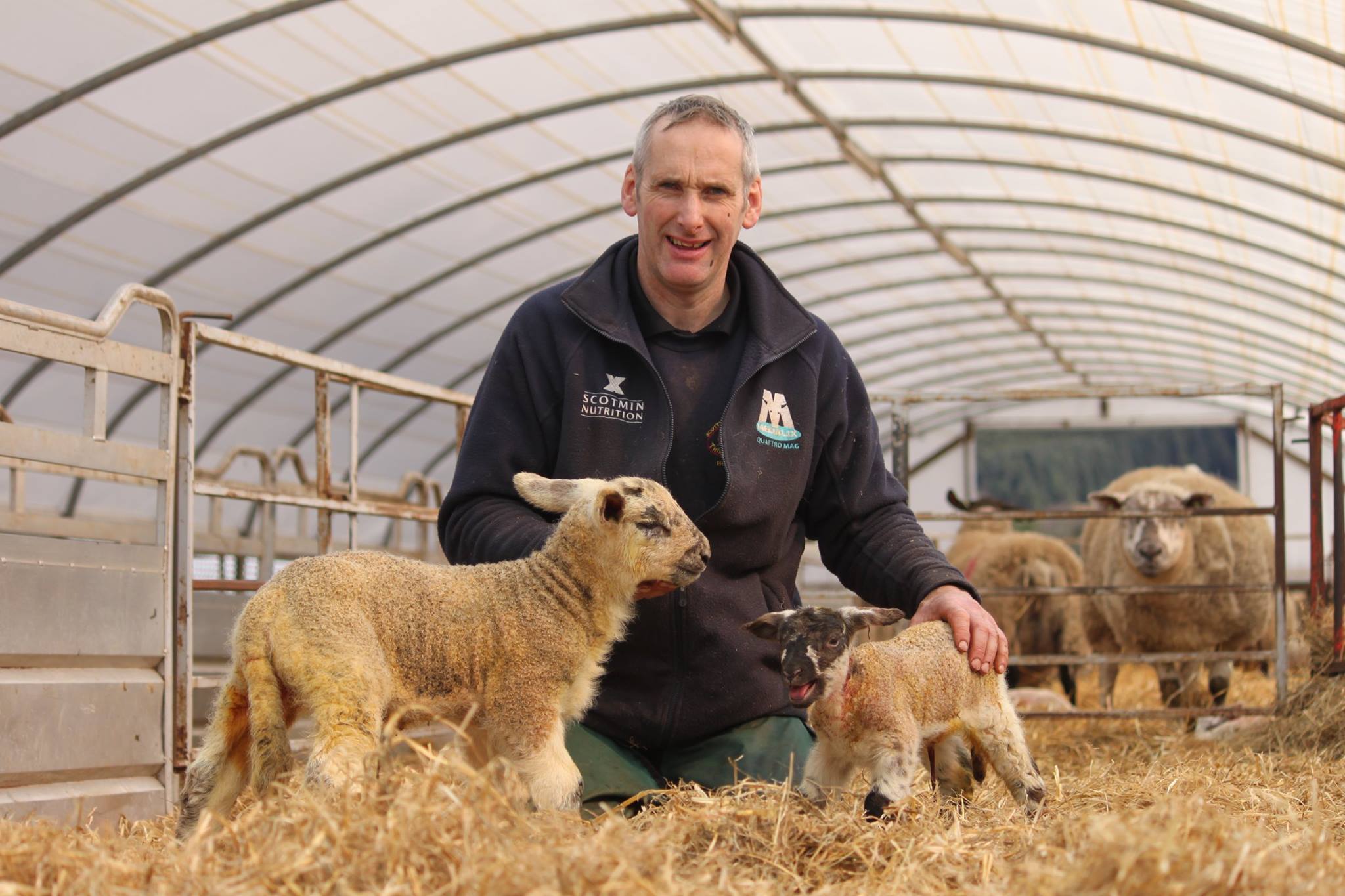 The Texel cross with farmer John Ainslie beside a 'normal size' lamb