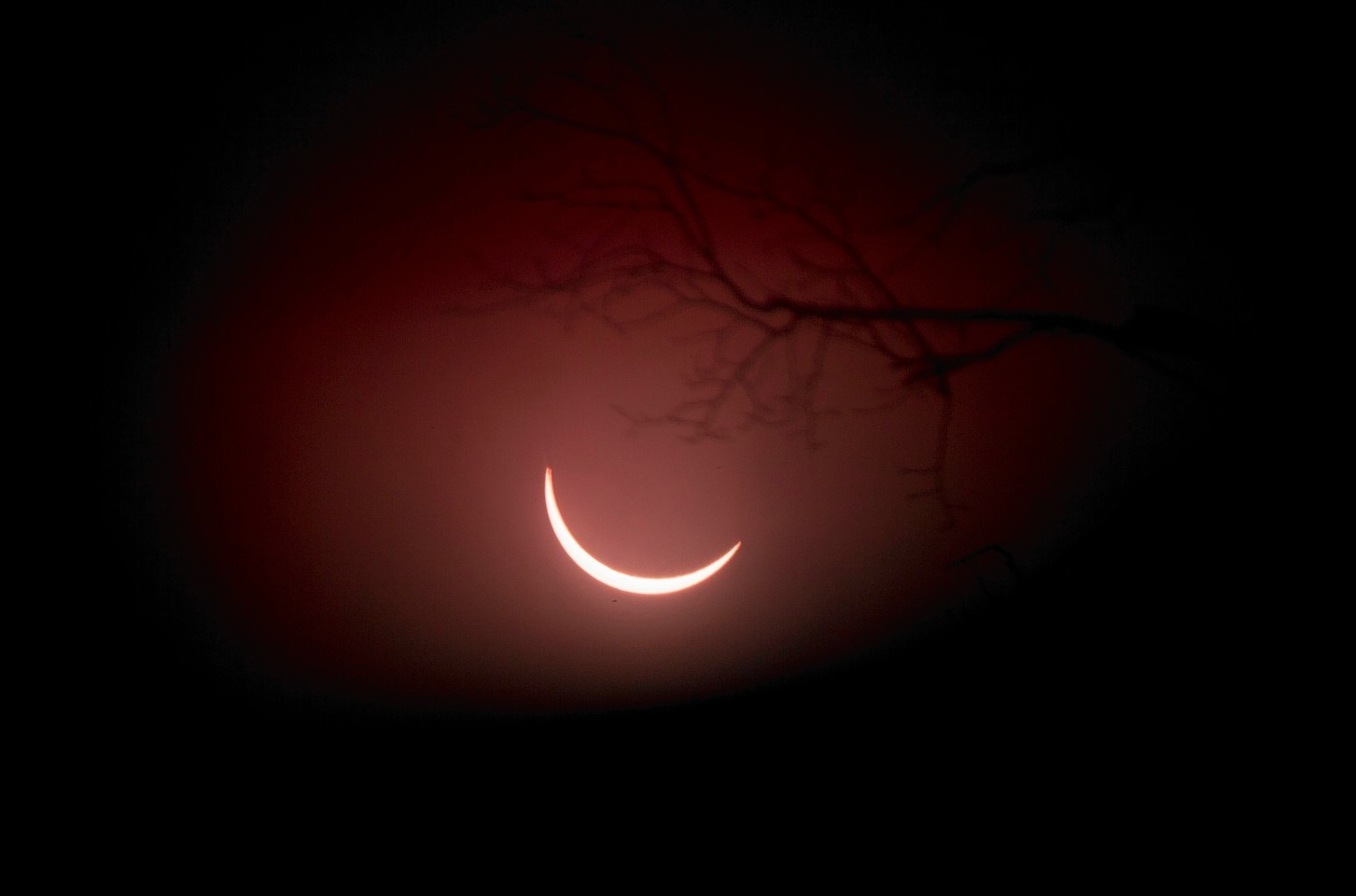 Yesterday's eclipse produced some stunning images and some sore eyes along the way