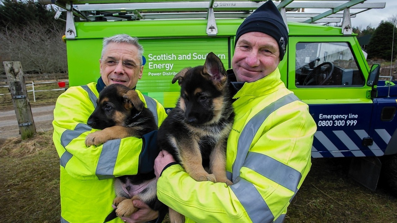 Bill Collie and Keith Hay with their namesake puppies