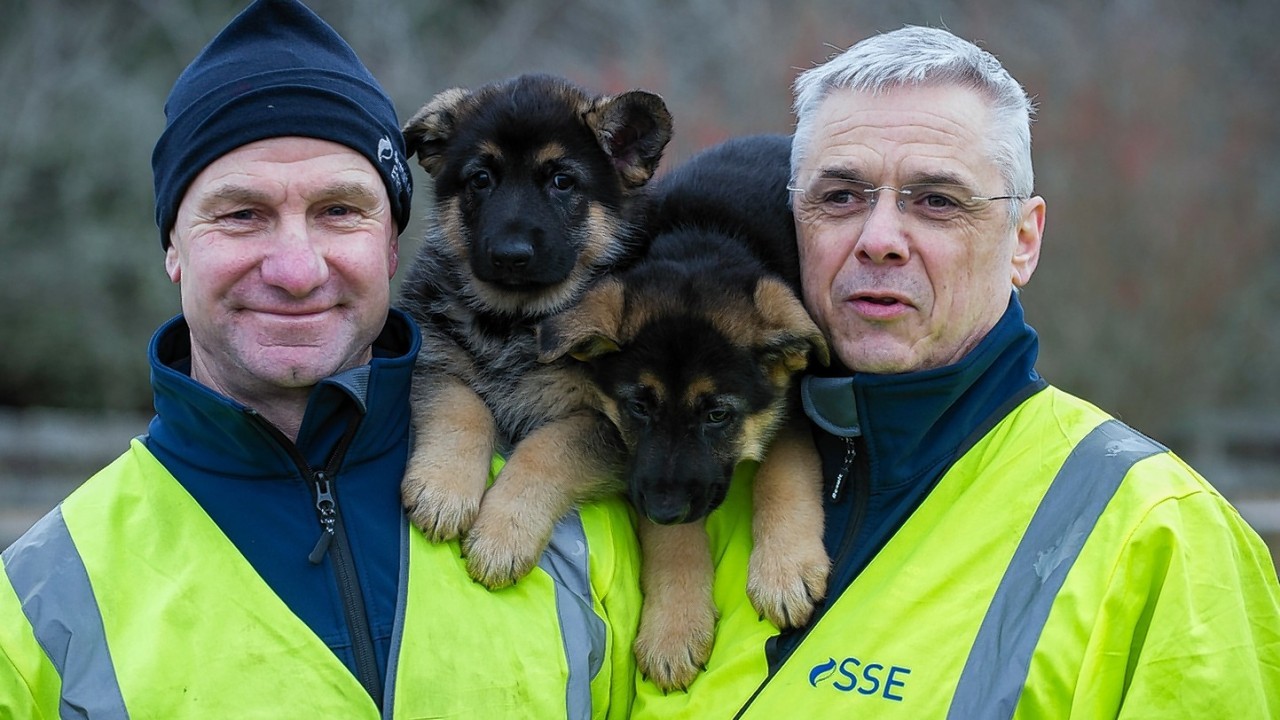 Bill Collie and Keith Hay with their namesake puppies