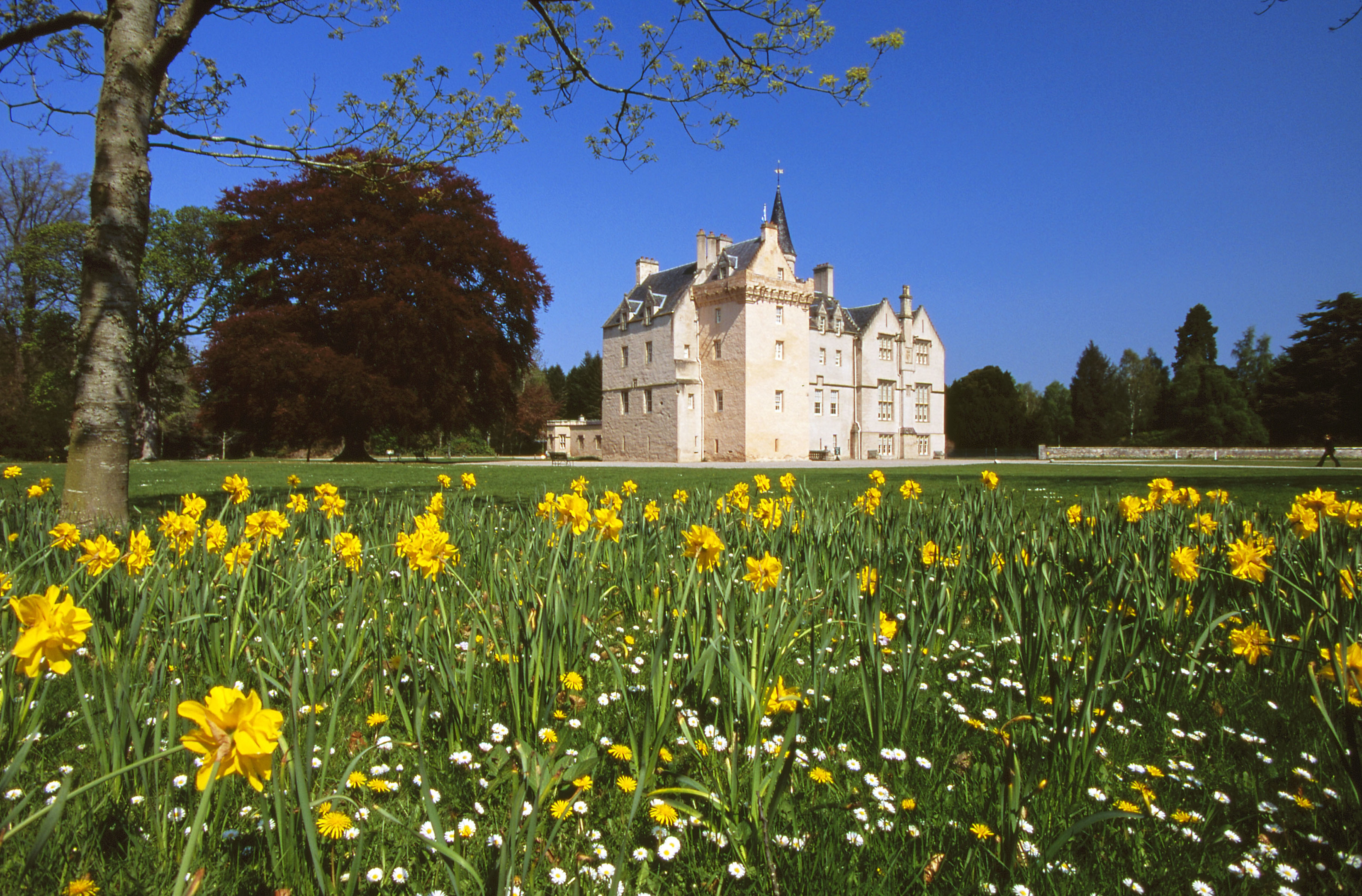 Brodie Castle is one of the places in line for additional investment