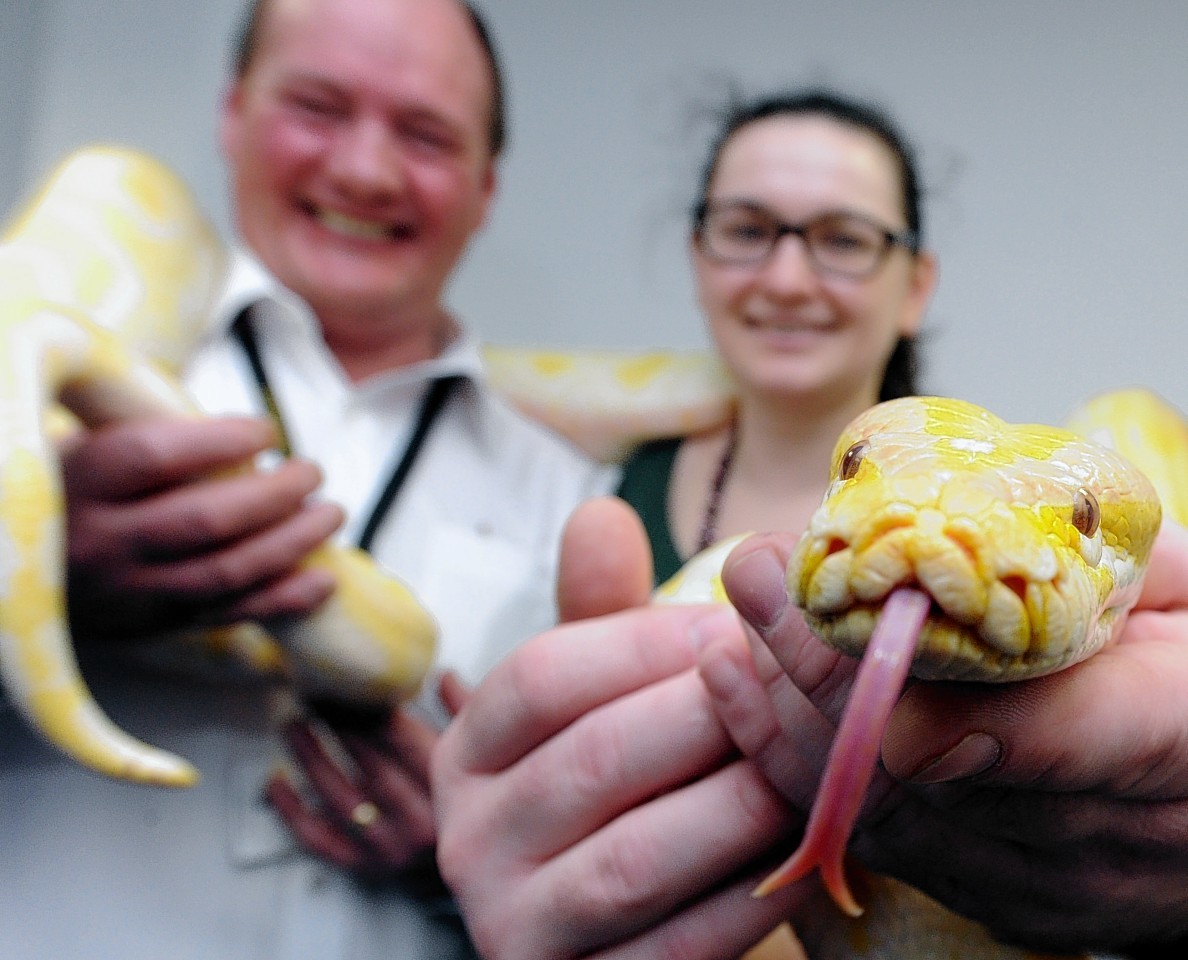 Aberdeen City Council staff given training in how to handle snakes