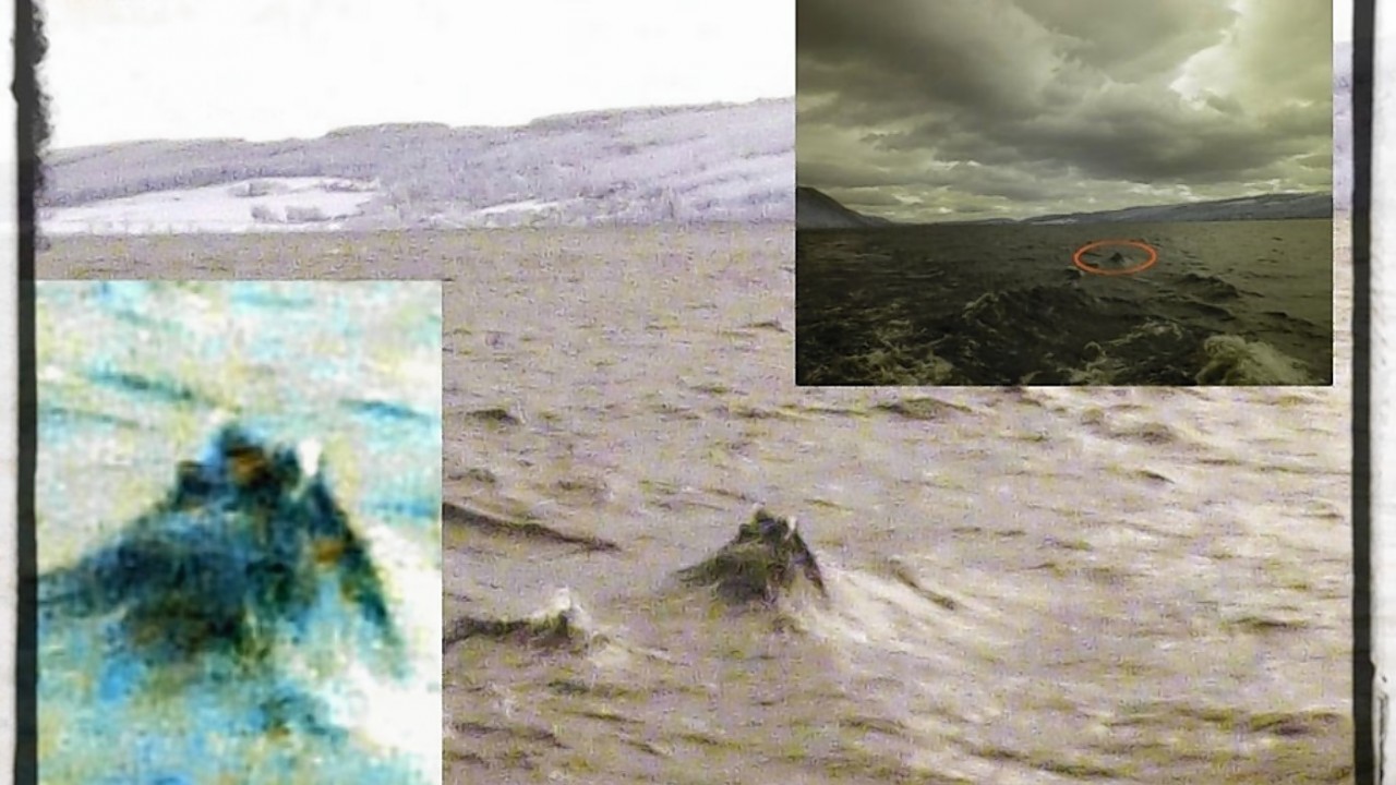 Plenty other people are convinced they have capture Nessie on camera, these pictures were taken just last year