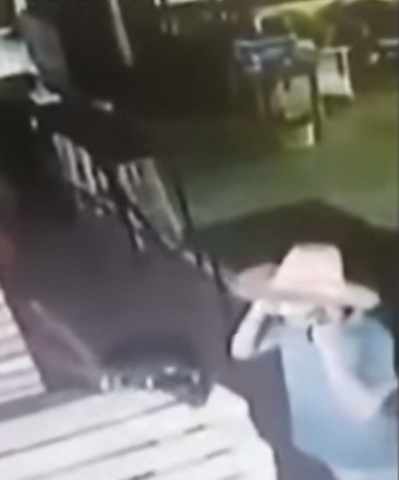 CCTV shows staff in Thailand trying to stop Liam Colven