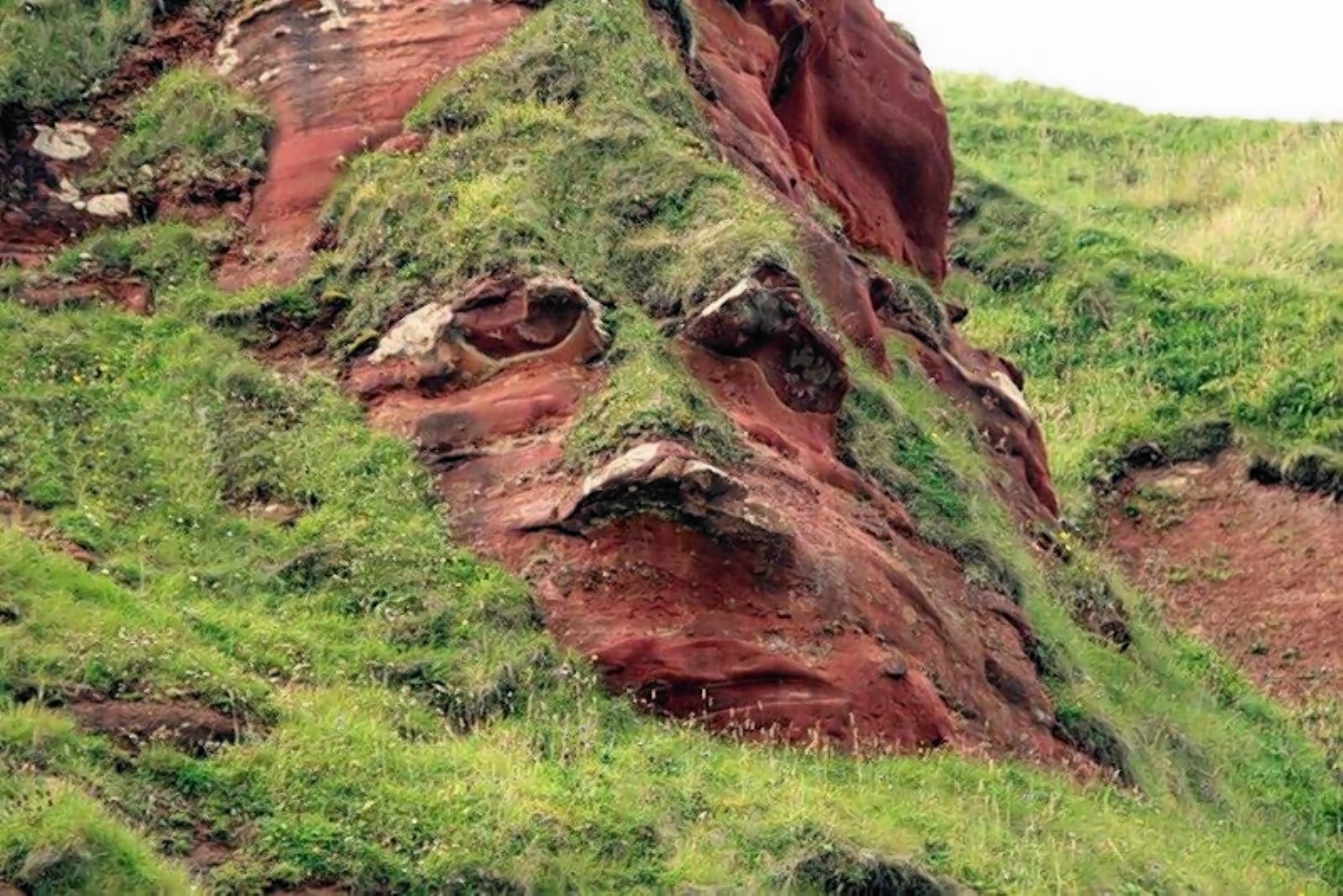 Can you see Alex Salmond's face in the cliff?