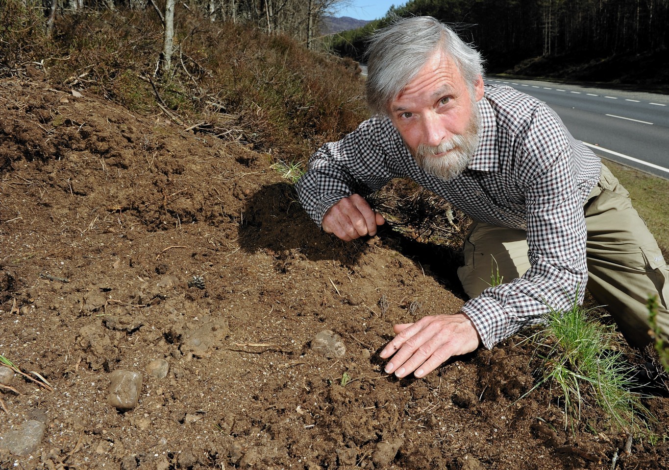 Gus Jones with an ant nest beside the A9 at Alvie