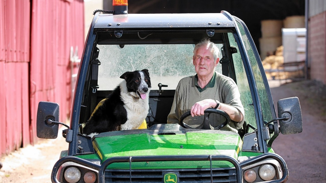 Don the dog of Kirkton Farm near Abington after he crashed the farm vehicle onto the M74