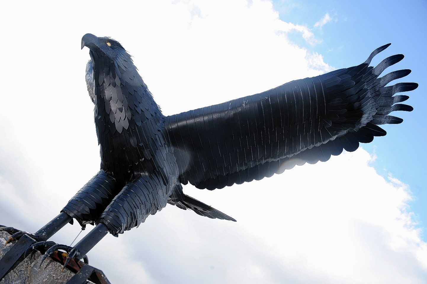 The new eagle on the roundabout at Inshes