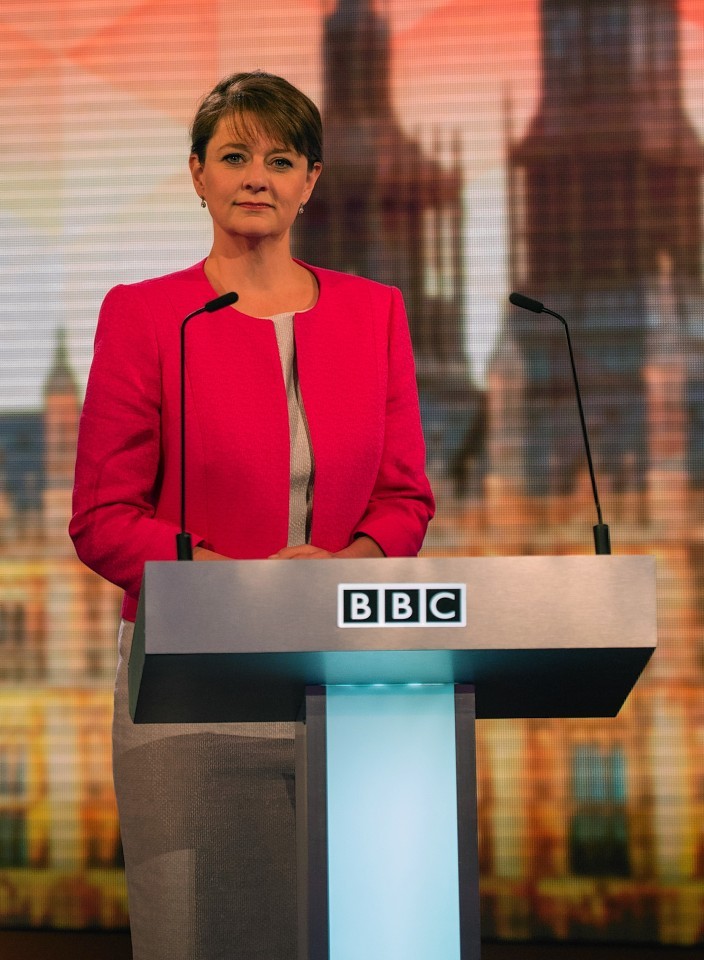 Plaid Cymru leader Leanne Wood