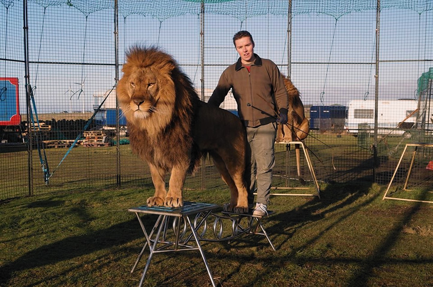 The only remaining lion tamer in Britain, Thomas Chipperfield, keeps two lions and three tigers in cages on a croft in Fraserburgh, 