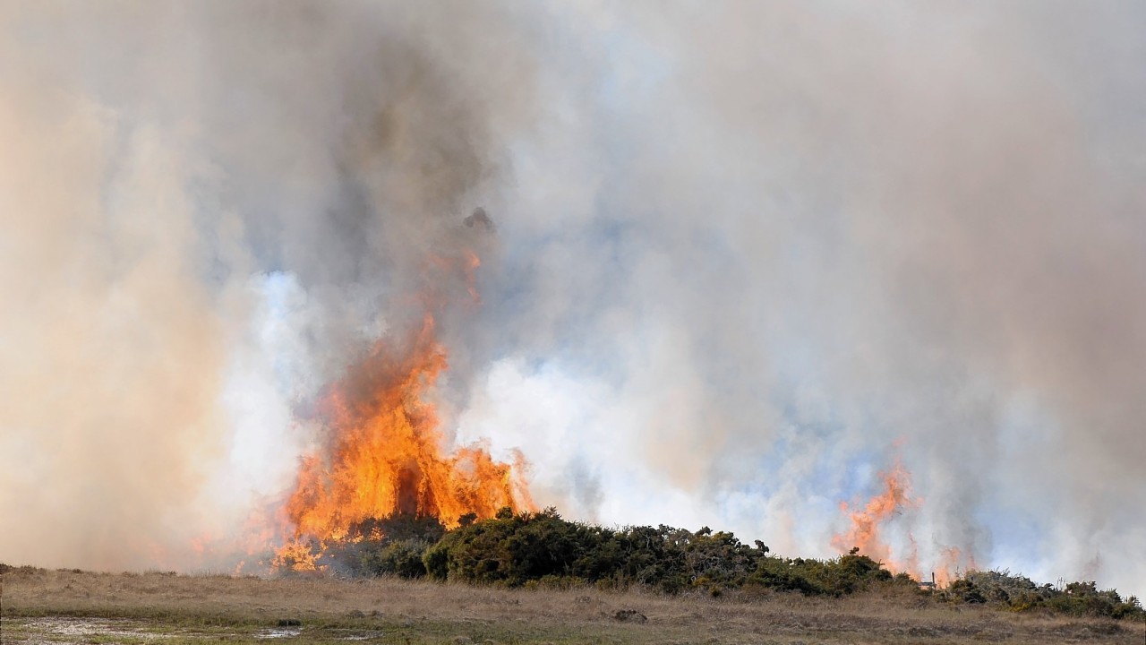 Firefighters deal with the large moorland fire