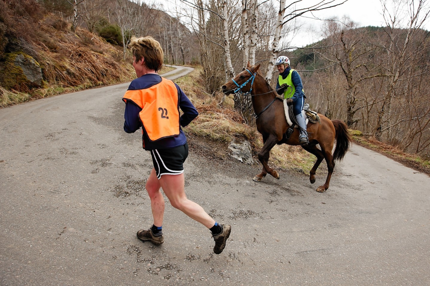 Who will come out on top this year, the man or the animal? 