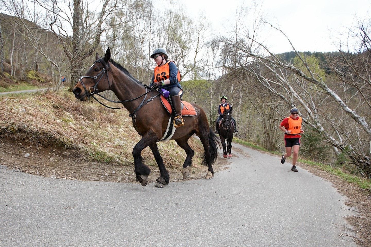 Man v Horse, rider Suzy Macfarlane ascends part of the course above Loch Ness. Picture by Paul Campbell