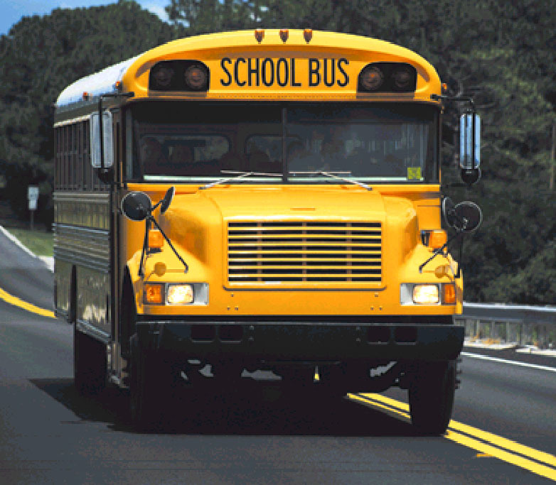 Seat belts could be fitted to all council school buses under the legislation.