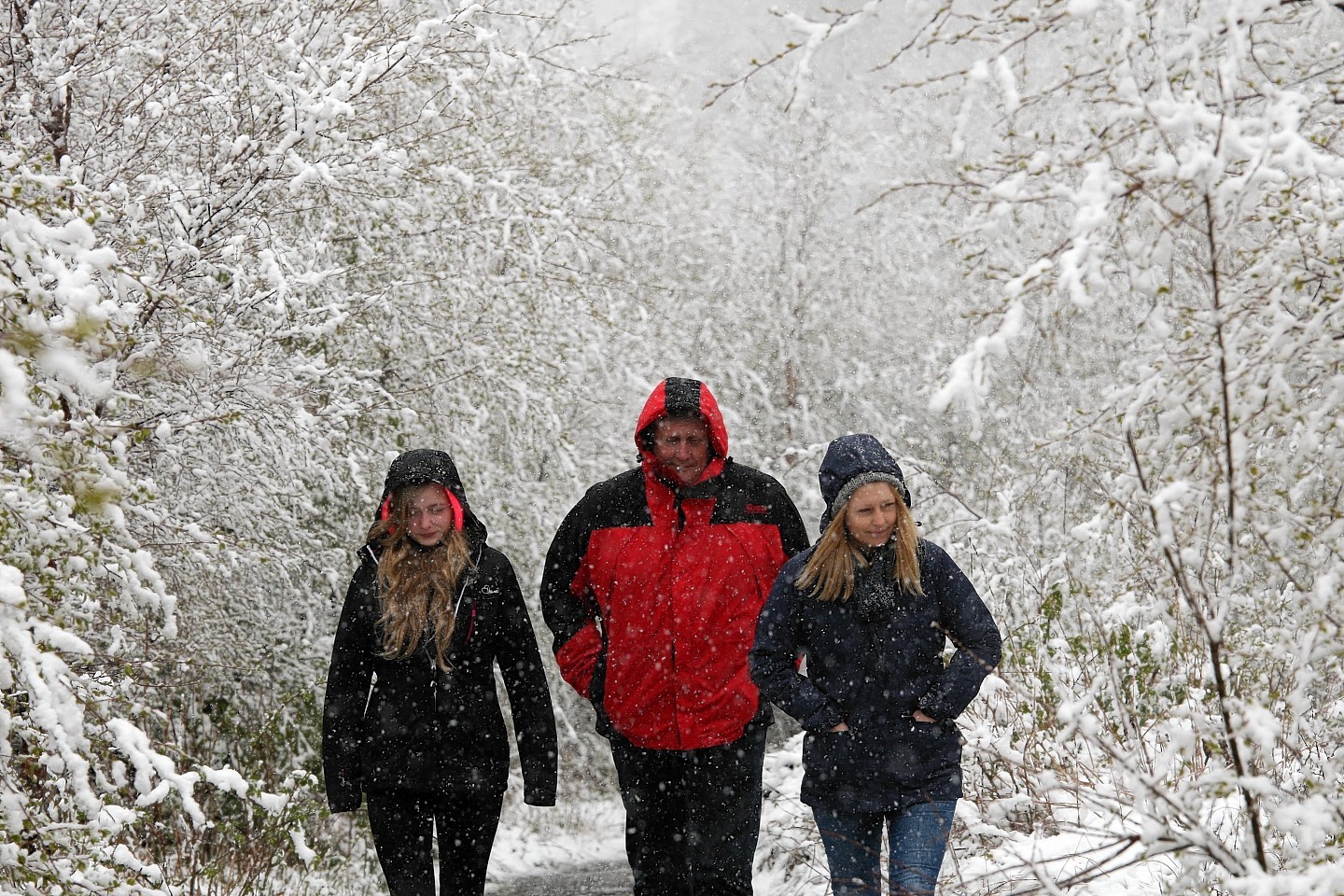 A family braves the snow to take a walk in the Highlands yesterday