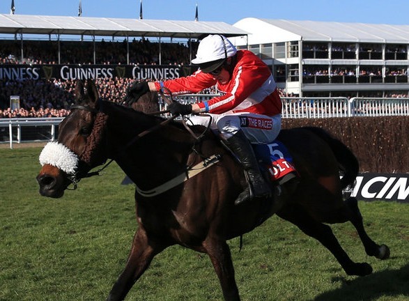 The Druids Nephew could go all the way and claim victory in Saturday's big race