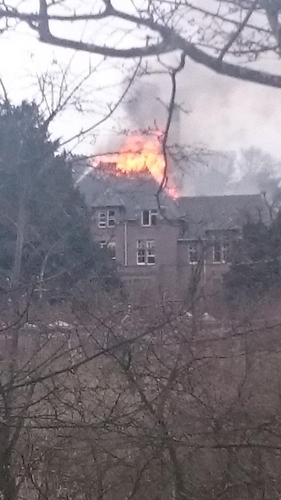 Four appliances are at the scene of the blaze