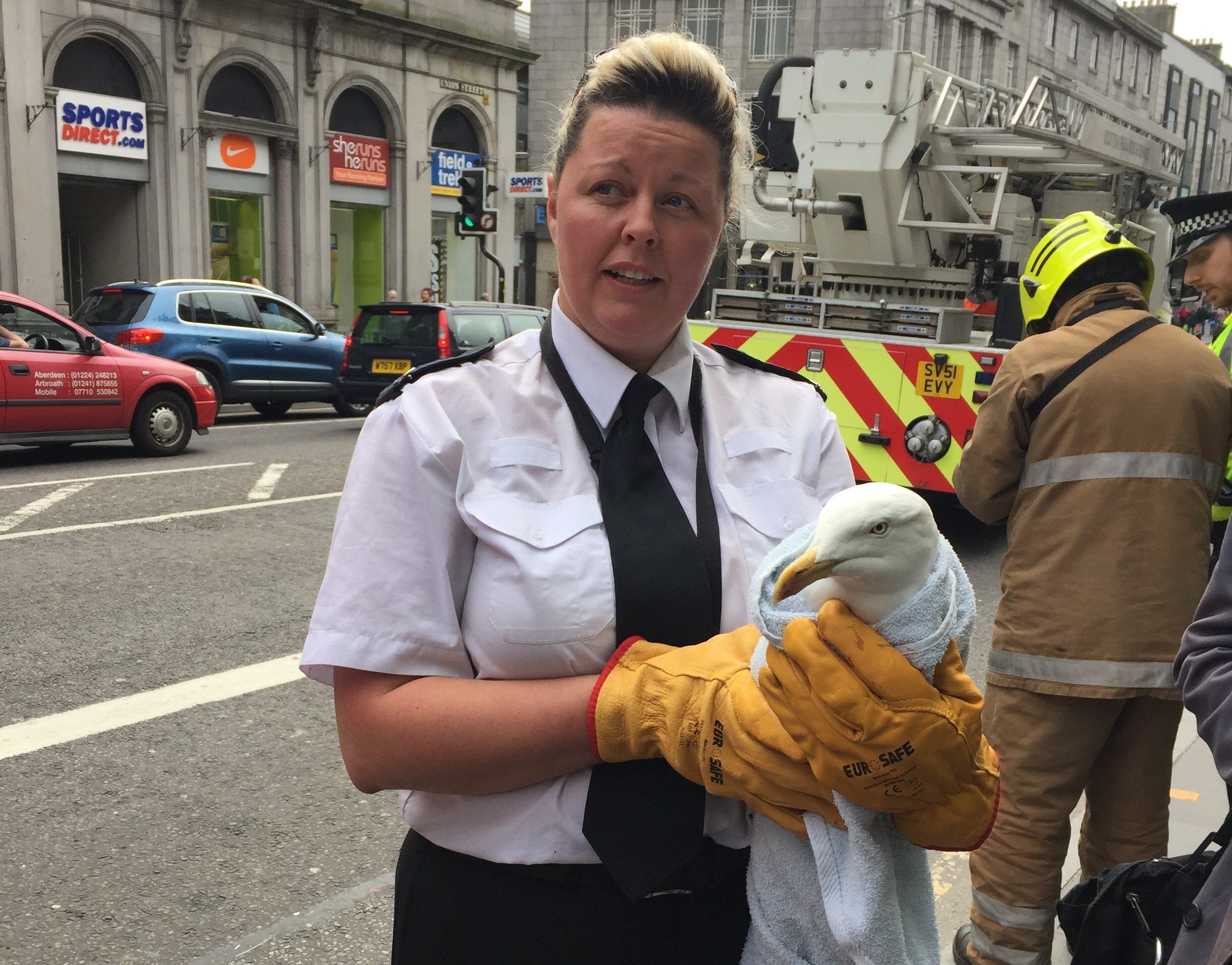 The gull was rescued from the building on Union Street
