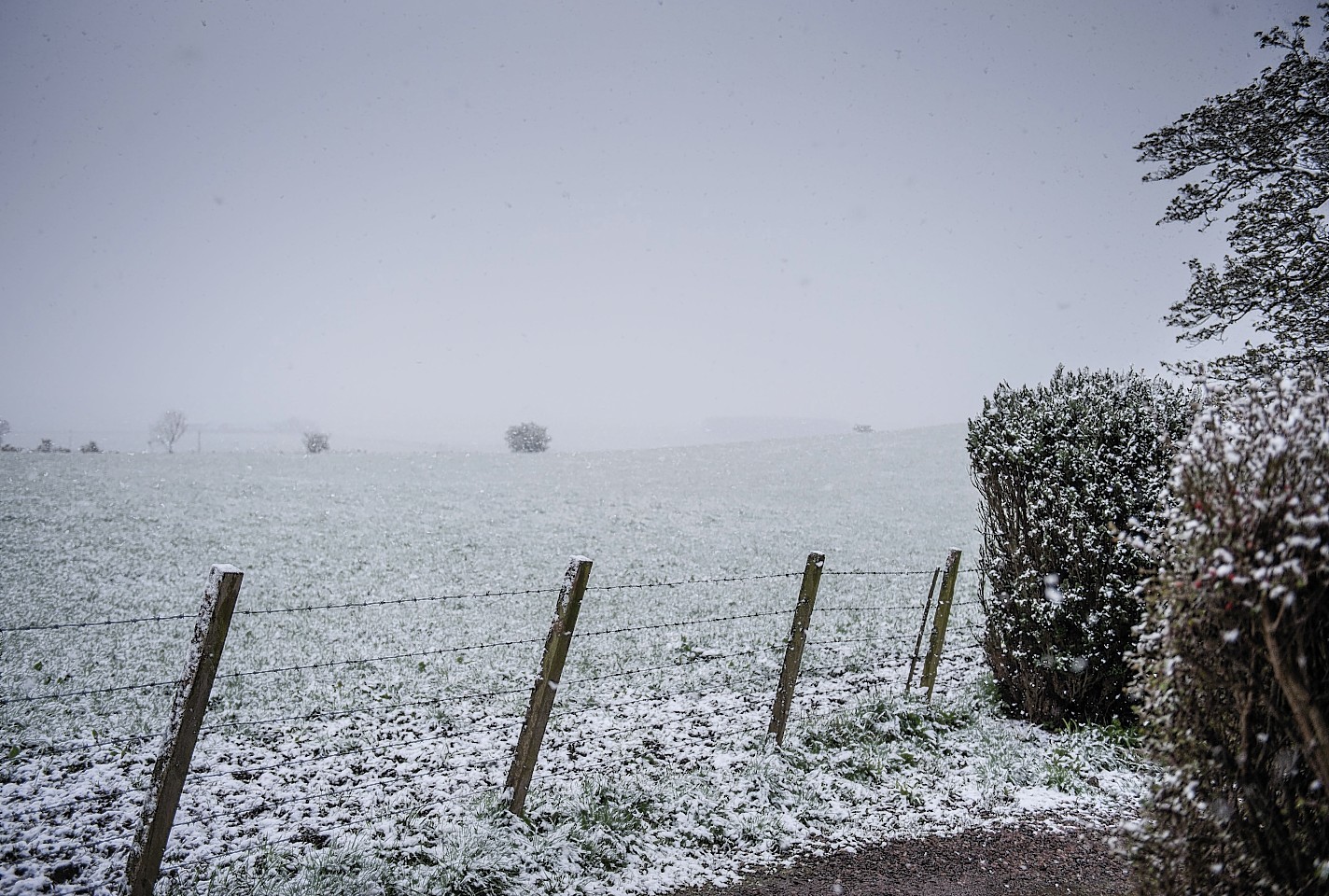 Snow near Ythanbank, Ellon, Aberdeenshire.  Picture by Michal Wachucik