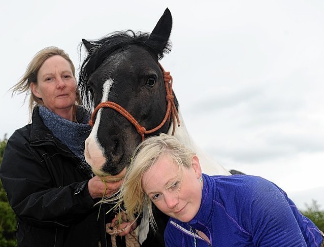 Candy has her feet trimmed by Shona Halford, in preparation for her walk