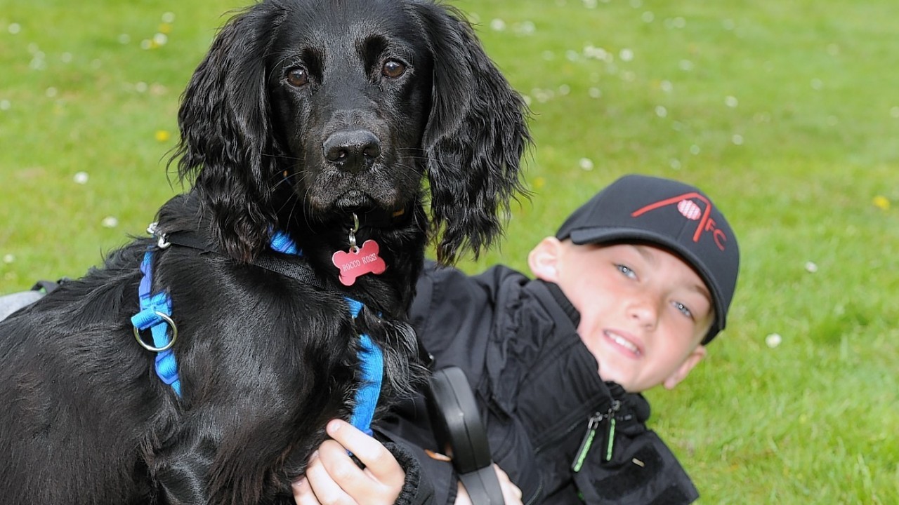 The DAWGS charity held an avent at Haddo Country Park.