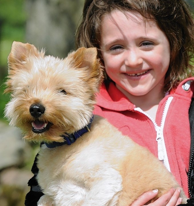 The DAWGS charity held an avent at Haddo Country Park.