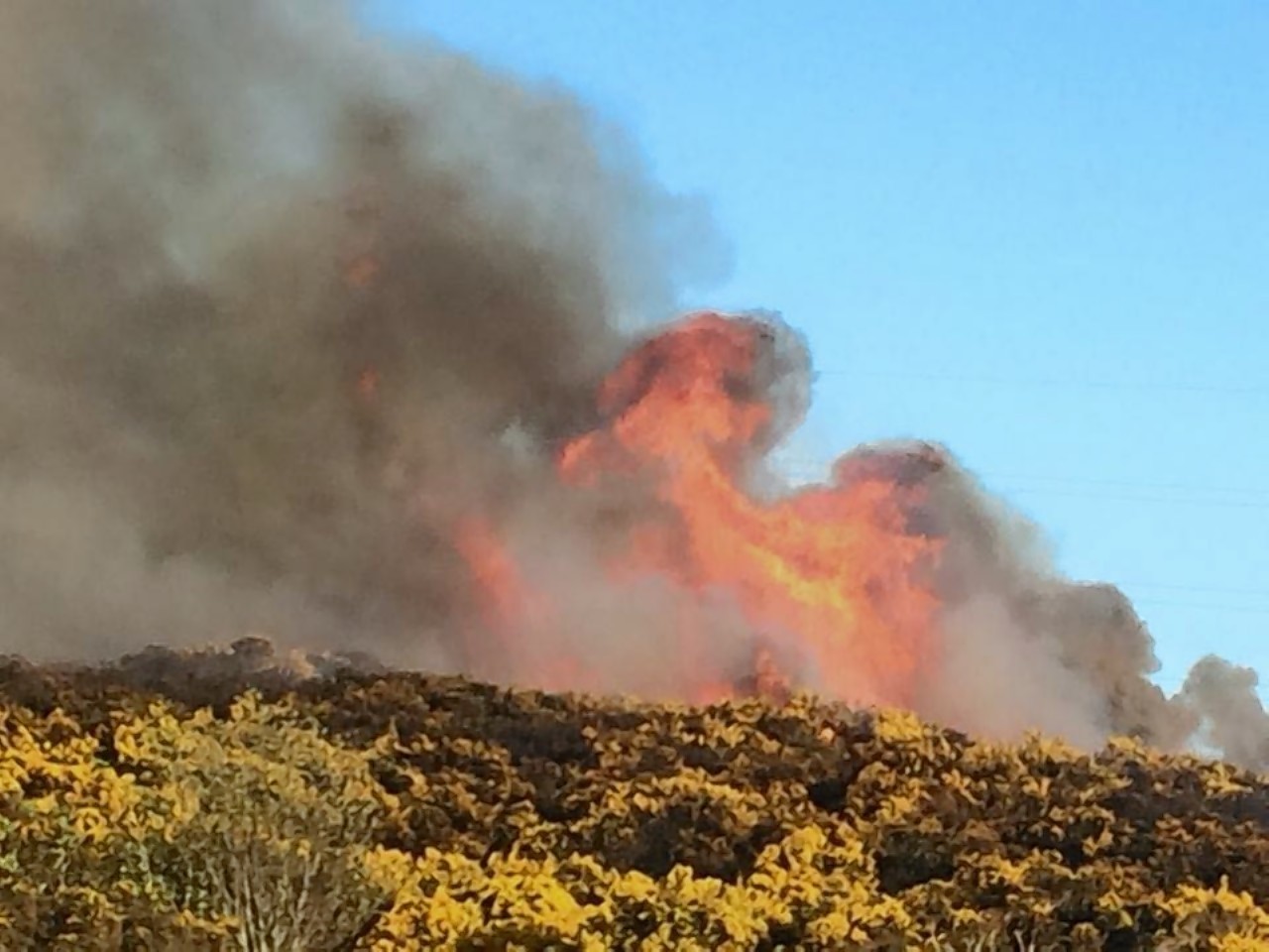 A deliberate fire was set on Kincorth Hill