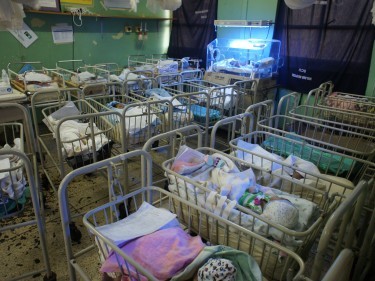 Rows of newborns 