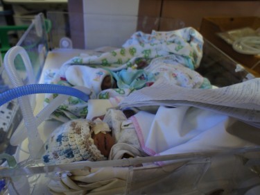 Newborns on Uganda's premature ward 